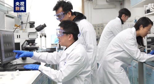 我國科研人員實現(xiàn)二維金屬碲化物材料宏量制備，助力材料科學規(guī)模化應用